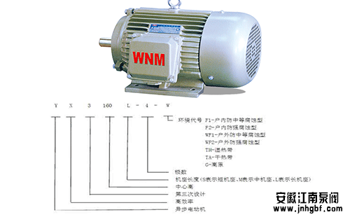 二級(jí)電機(jī)