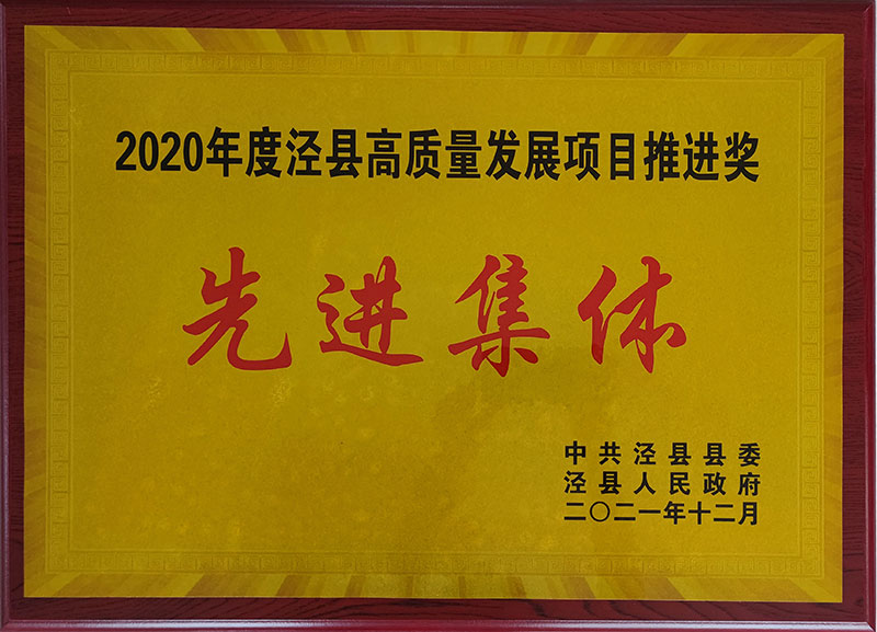 2020年度涇縣高質(zhì)量發(fā)展項(xiàng)目推進(jìn)獎(jiǎng)先進(jìn)集休