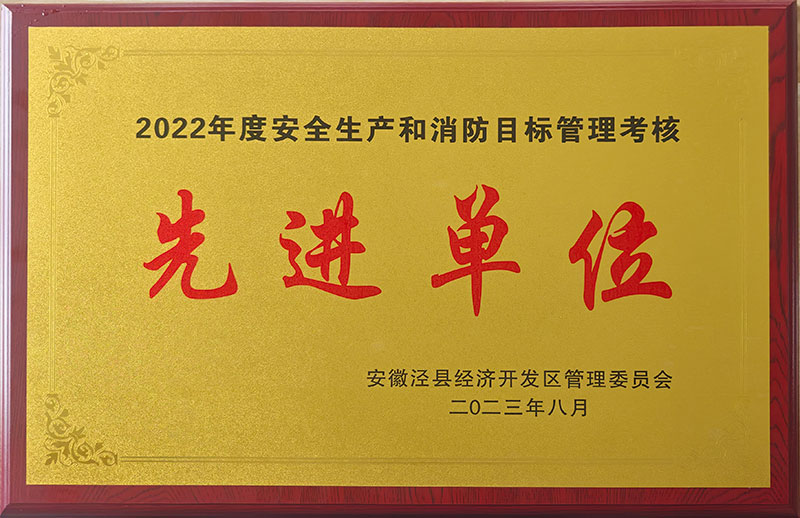 2022年度安全生產(chǎn)和消防目標(biāo)管理考核先進(jìn)單位