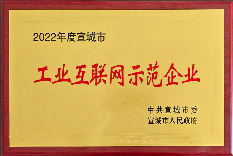 2022年度宣城市工業(yè)互聯(lián)網(wǎng)示范企業(yè)